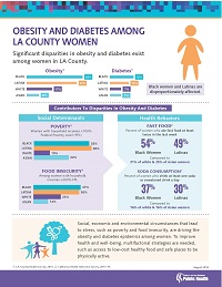 L.a. County Public Health - Office Of Women's Health - Reports