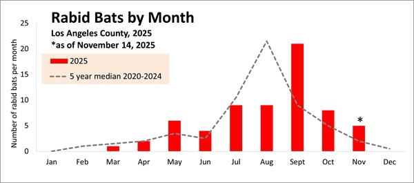2025 graph - number of rabid bats per month in Los Angeles County