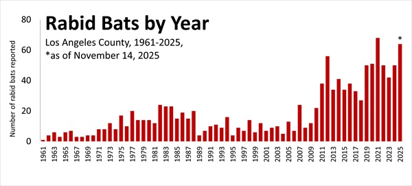 Graph - Los Angeles County rabid bats by year 1961-2025