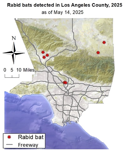 Map showing rabid bat detections in Los Angeles County since January 1, 2025